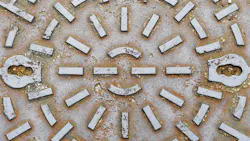 657b0fdb5642b9001de7b725 Dreamstime Xxl 18093274 657b0fdb5642b9001de7b725 Dreamstime Xxl 18093274