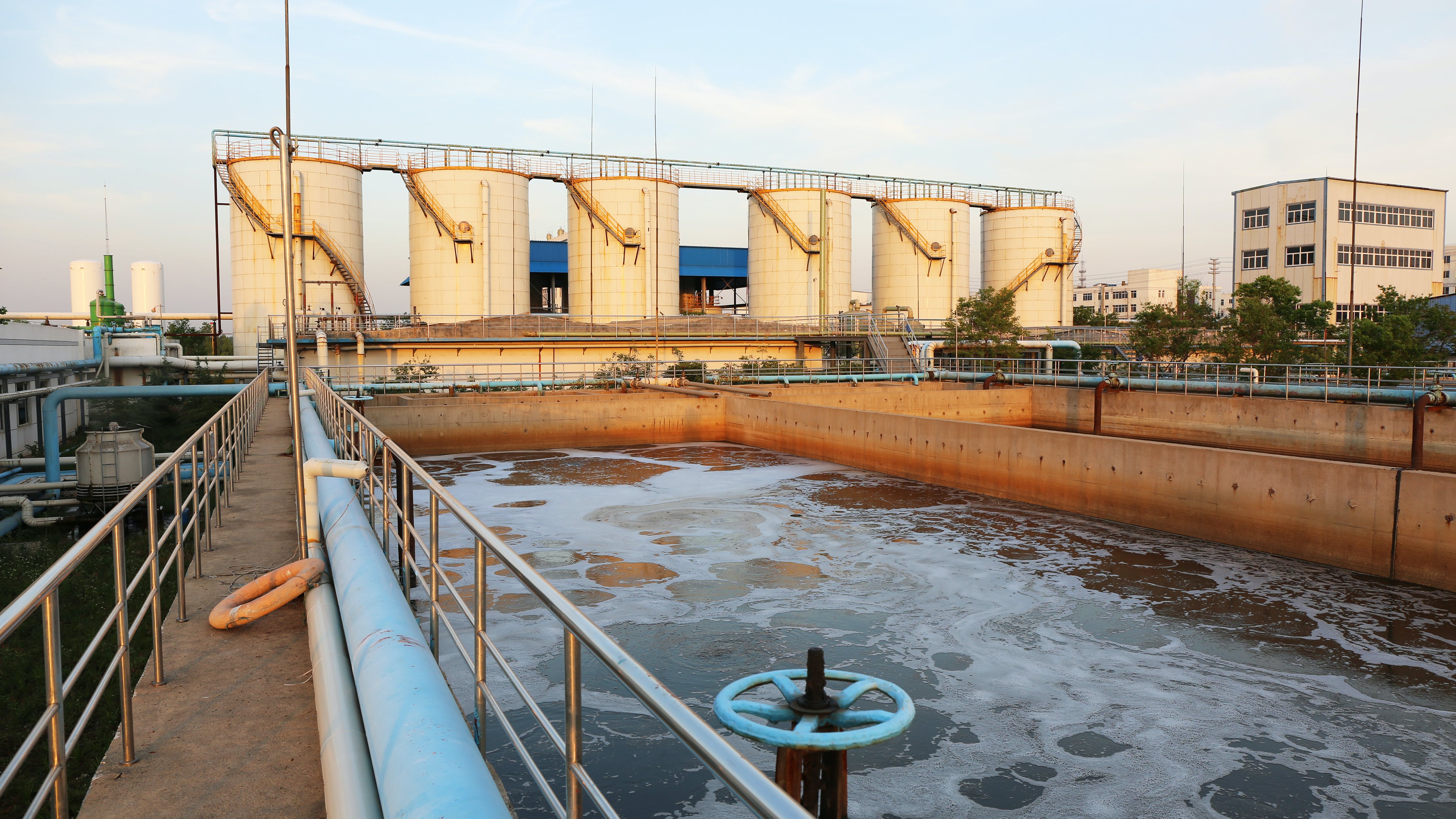 6598264a02983b001e858199 Dreamstime Xxl 42348685