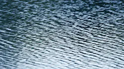 dreamstime_xxl_886075 dreamstime_xxl_886075