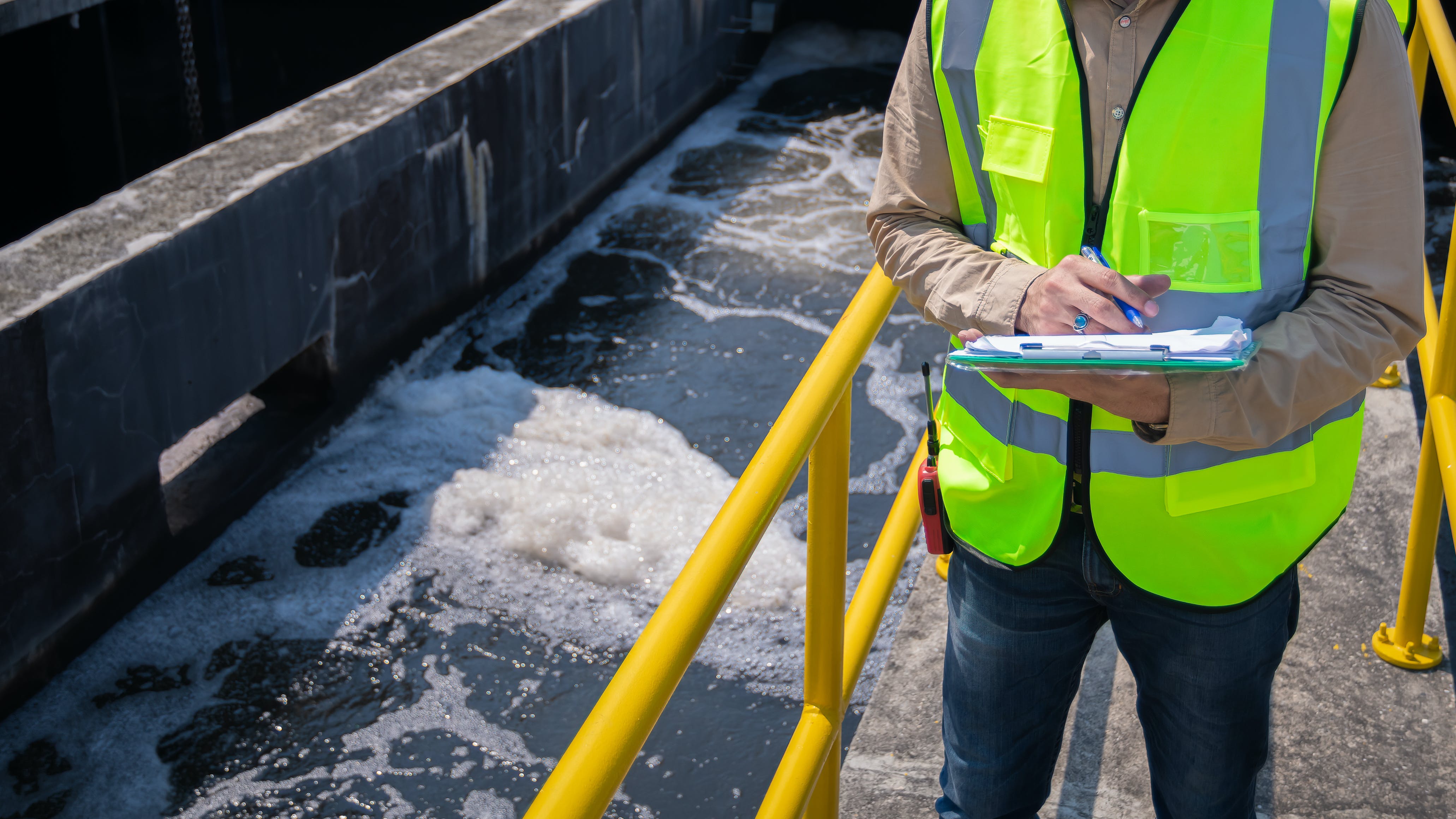 65c4eaa5e7cea5001e81c9df Dreamstime Xxl 242446550