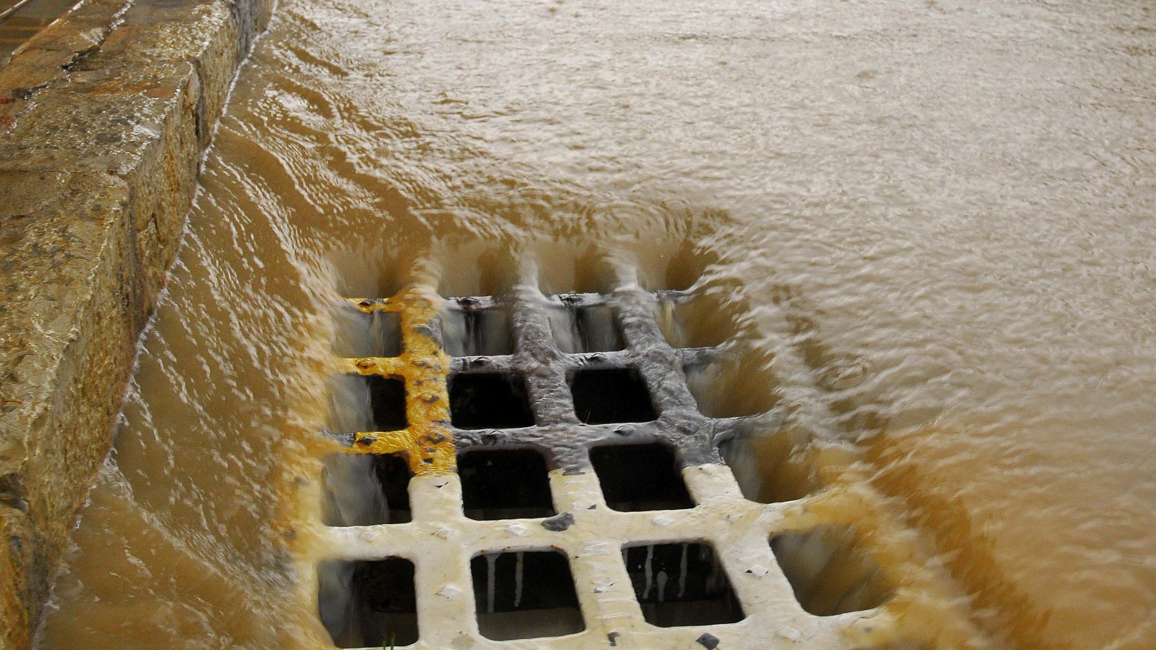 65c63691de103d001ea9171a Dreamstime 59618836