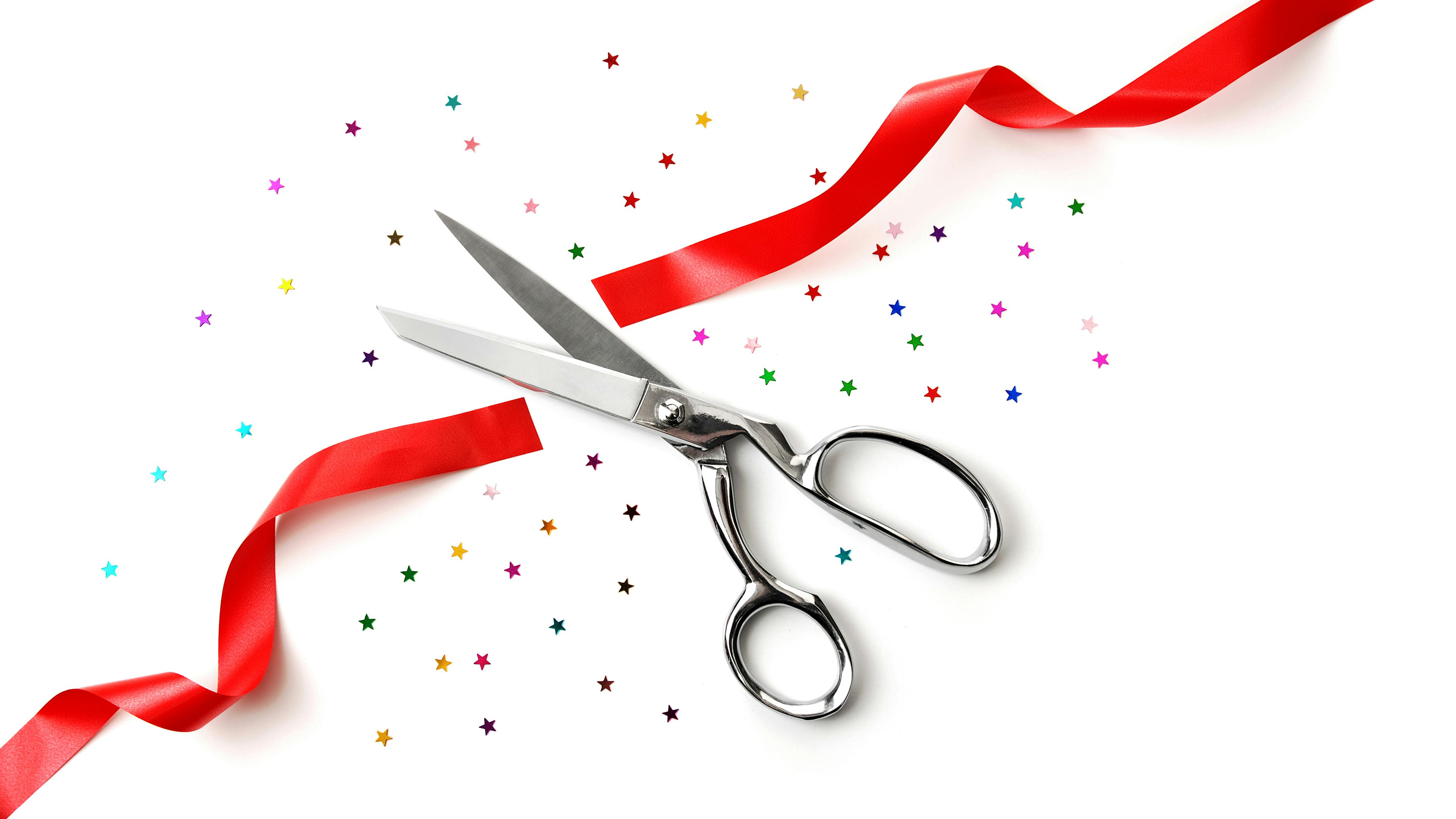 dreamstime_xxl_4243844