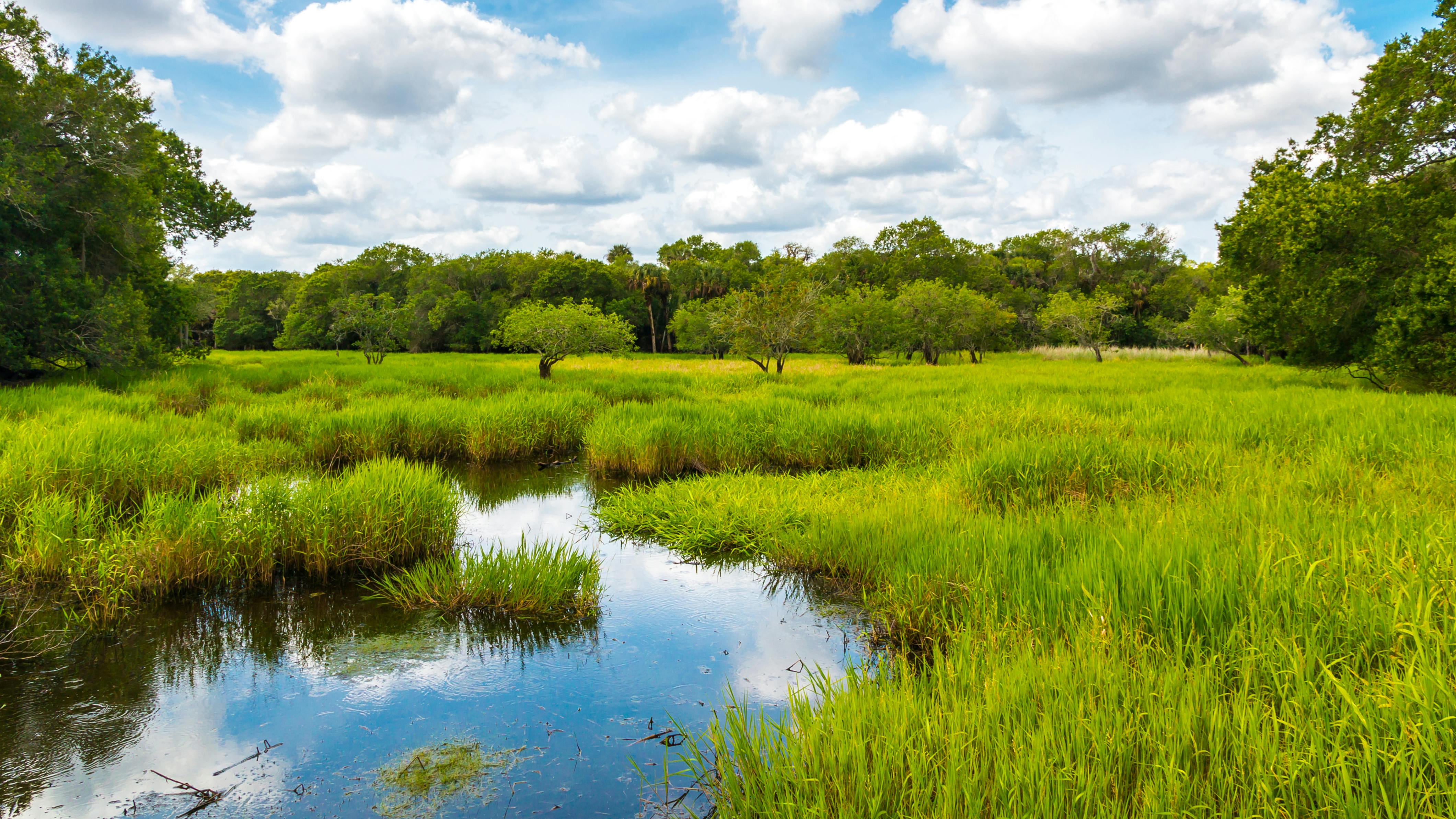 dreamstime_xxl_75867714