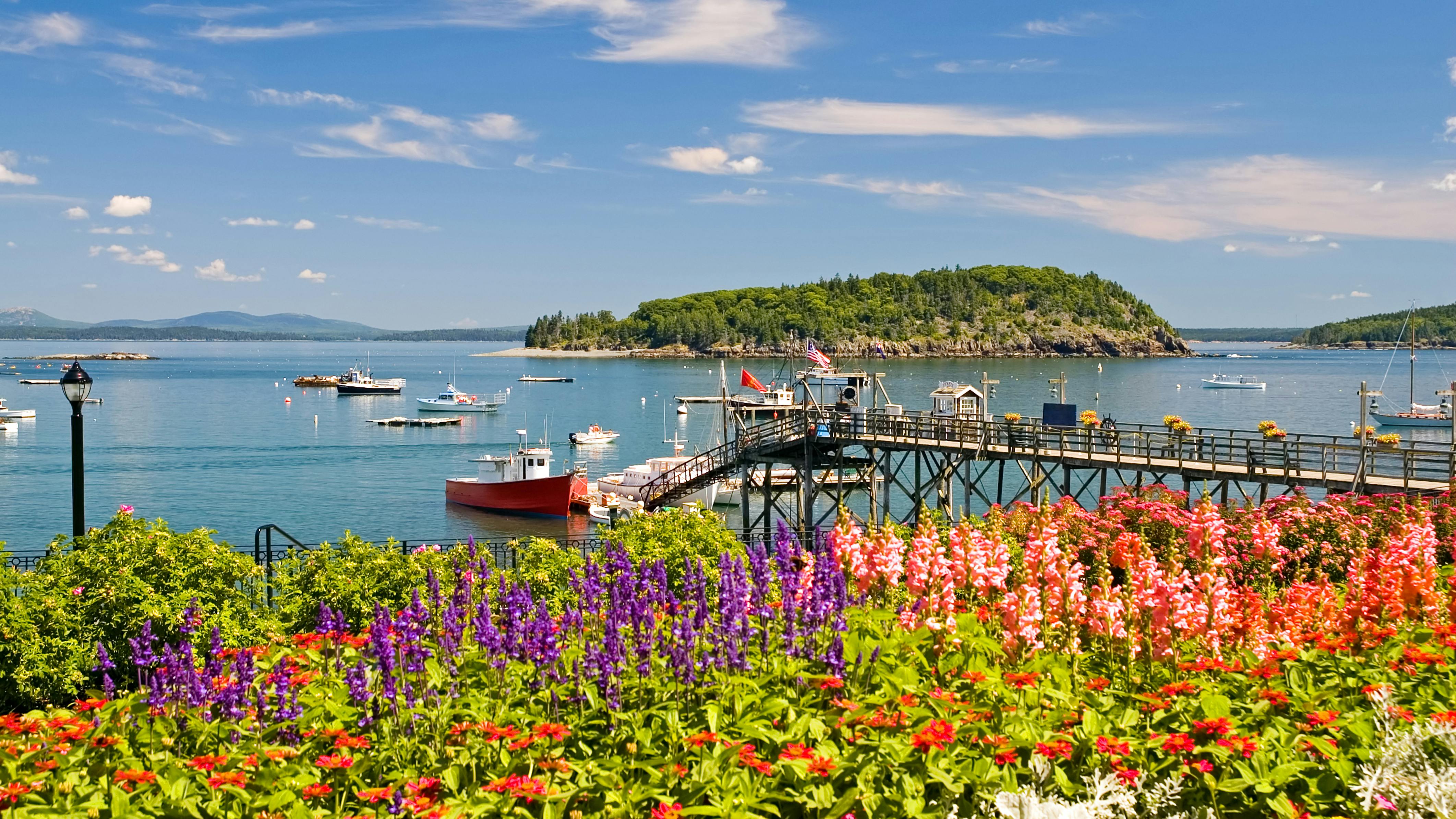 6633eca8eeb2d50008e70325 Dreamstime Xxl 3137274