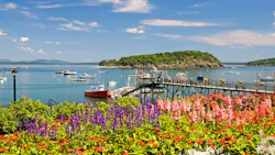 6633eca8eeb2d50008e70325 Dreamstime Xxl 3137274 6633eca8eeb2d50008e70325 Dreamstime Xxl 3137274