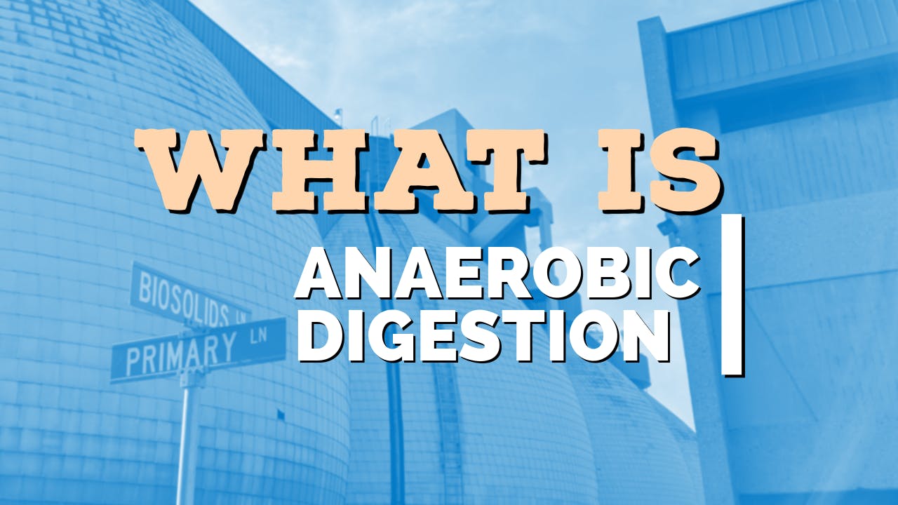 What is anaerobic digestion?