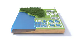 6660da4df79c650853e97495 Dreamstime Xxl 112795170 6660da4df79c650853e97495 Dreamstime Xxl 112795170