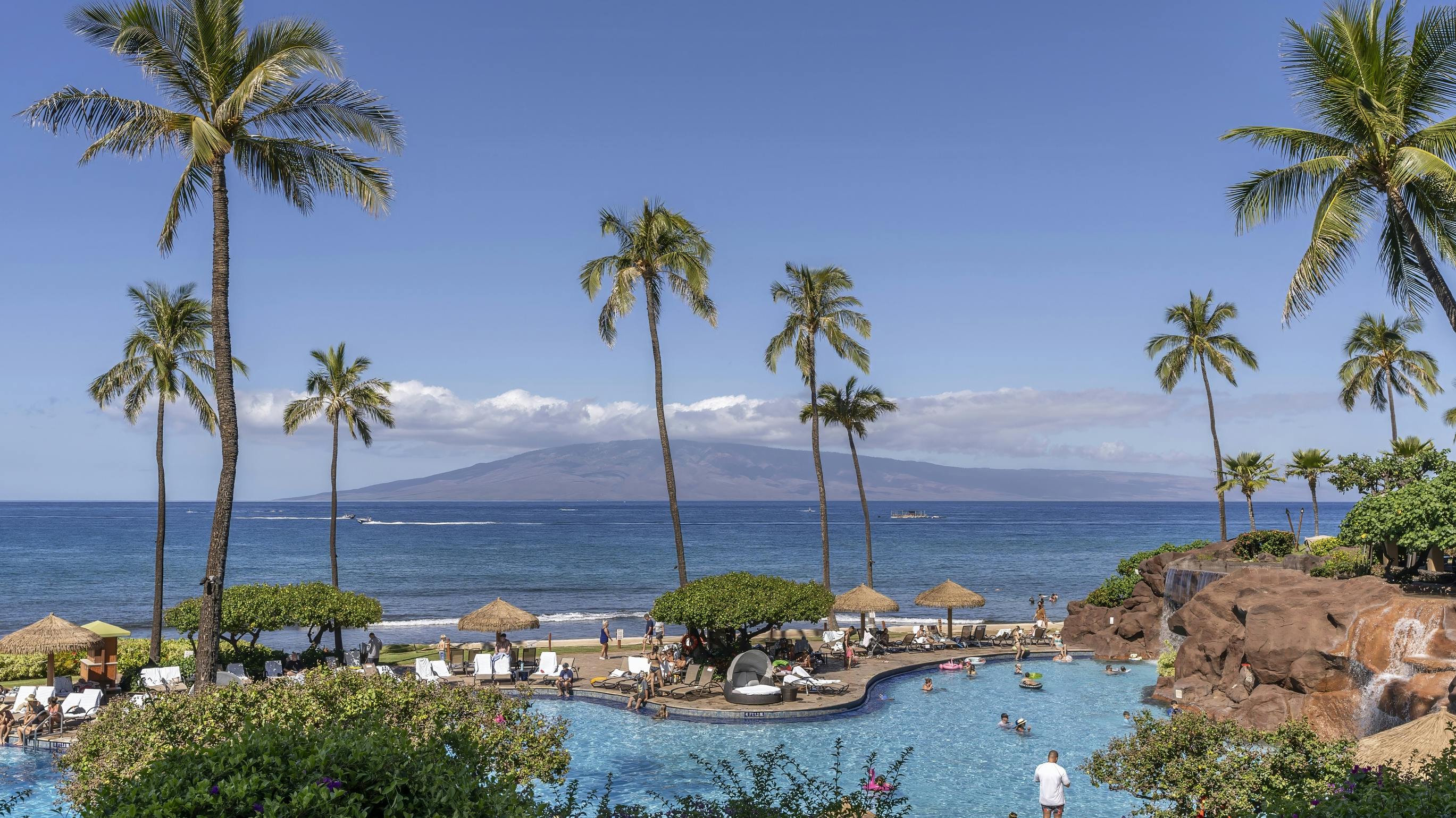 6699821d9d19047048d113d0 Dreamstime L 314050038