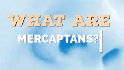 669987ce9d19047df2d115a1 What Are Mercaptans In Wastewater 669987ce9d19047df2d115a1 What Are Mercaptans In Wastewater