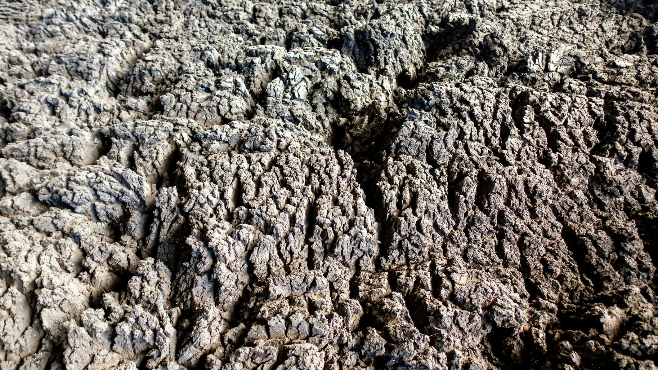 dreamstime_m_225377079