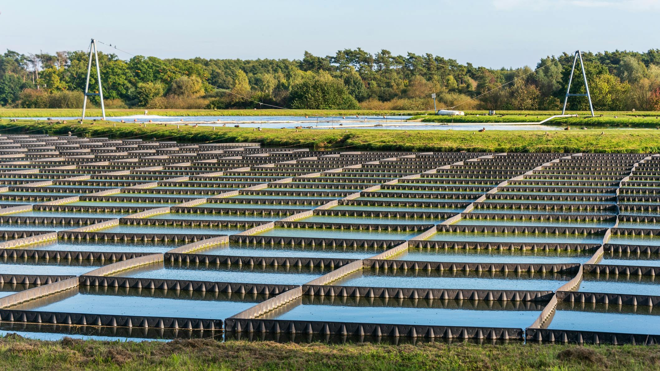 66fae36f2ac3a54c82197c70 Dreamstime M 231200588