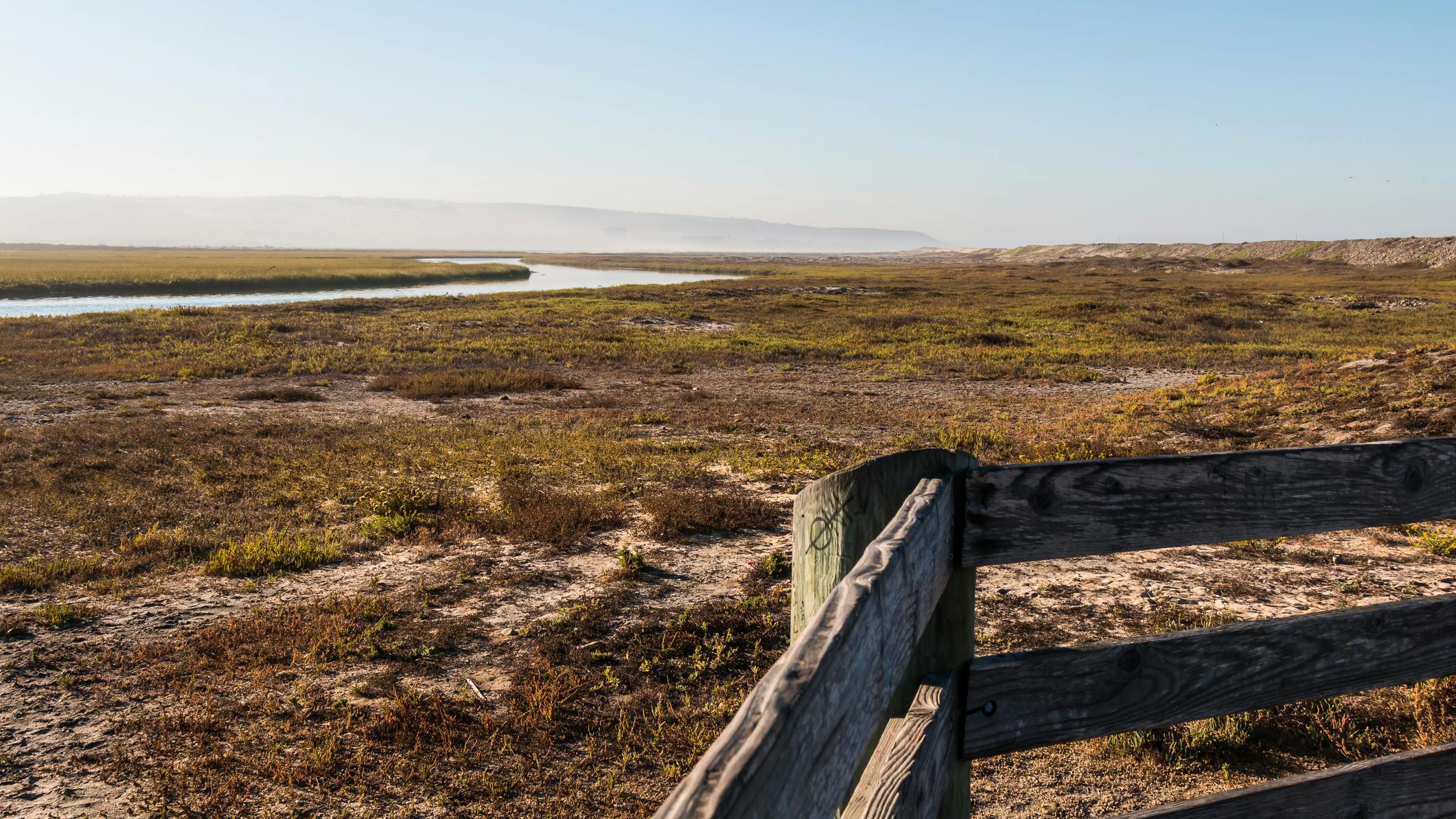 dreamstime_m_80589395