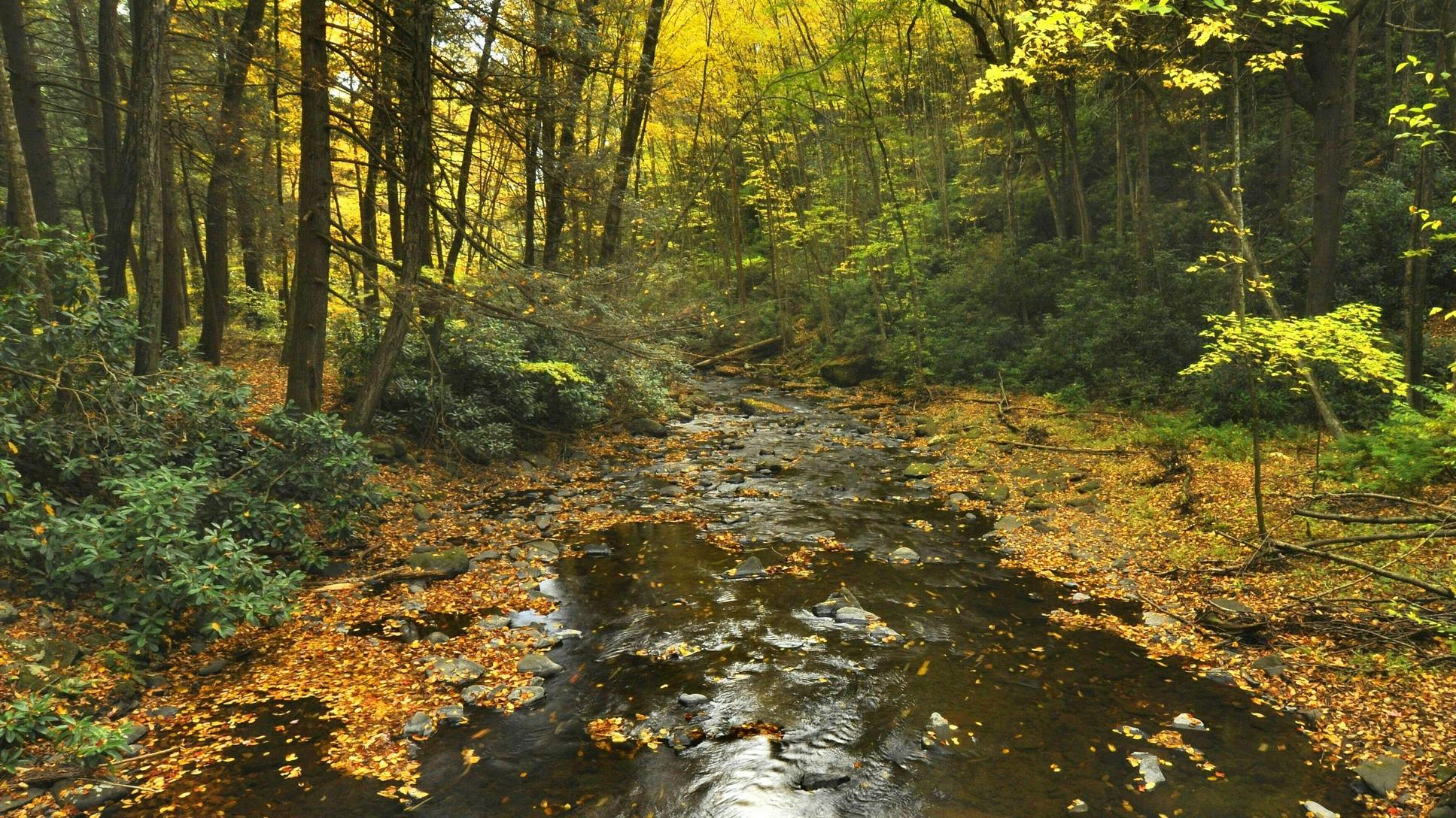 672ce457111f9e40d86677eb Dreamstime M 11651146