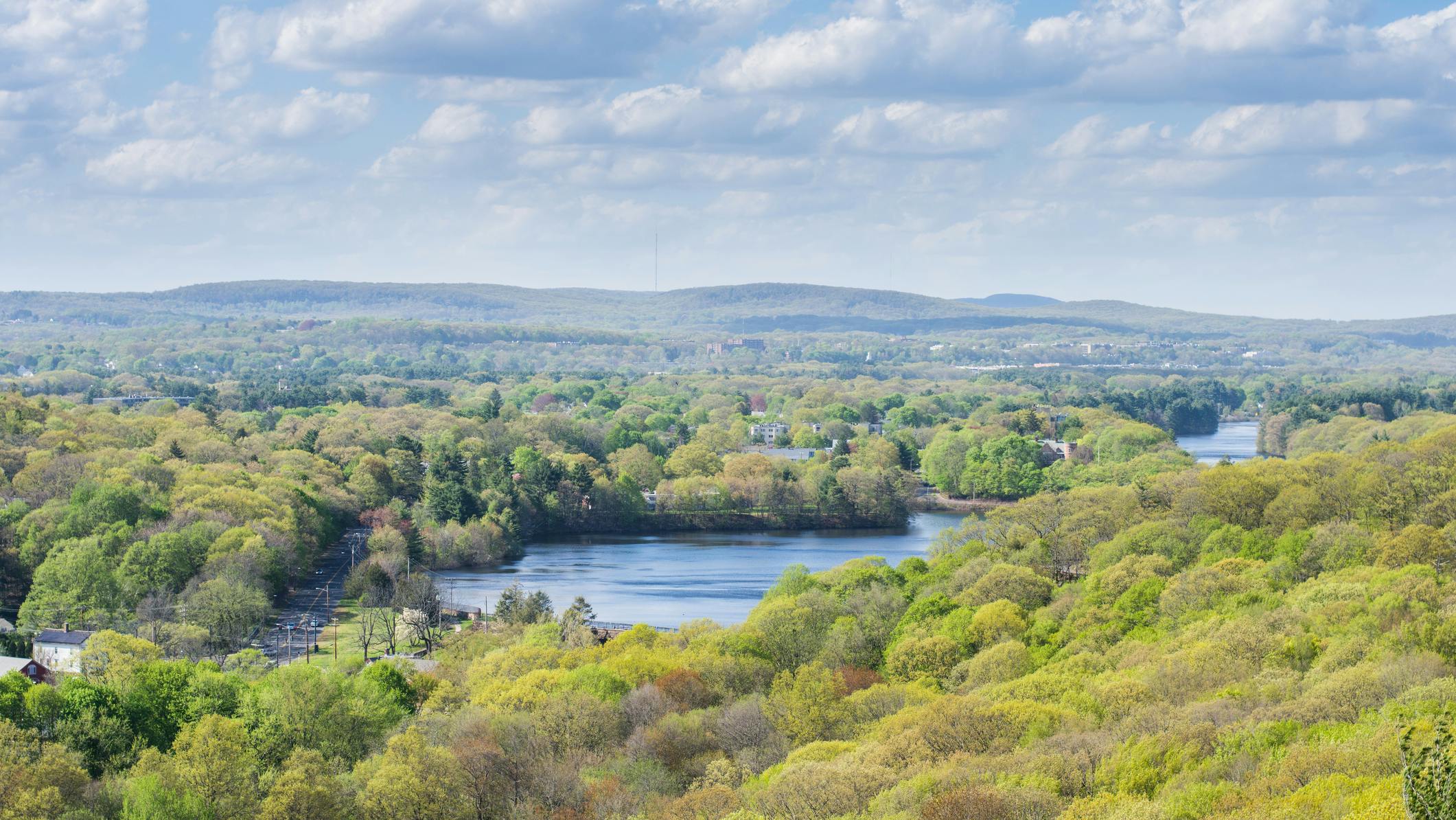 67521602f1952862140931d1 Dreamstime M 91942339