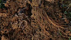 67632d021264f16861641295 Dreamstime M 110509677 67632d021264f16861641295 Dreamstime M 110509677