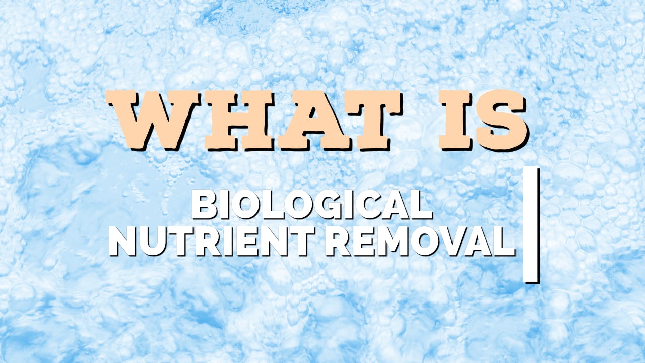 What is biological nutrient removal?
