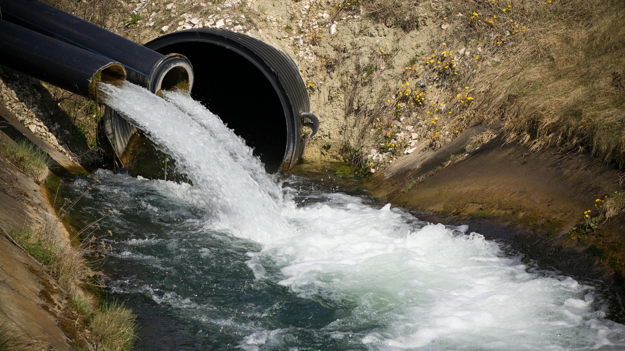 679936b7b31c5d3b8f5f37a2 Dreamstime M 25647709