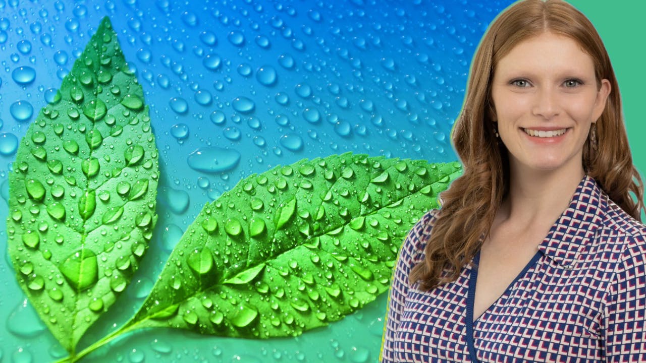 A conversation with Kelley Vendeland, Energy Recovery vice president of marketing and sustainability, on transition to the water sector from the energy market, and what we can learn from the power world.