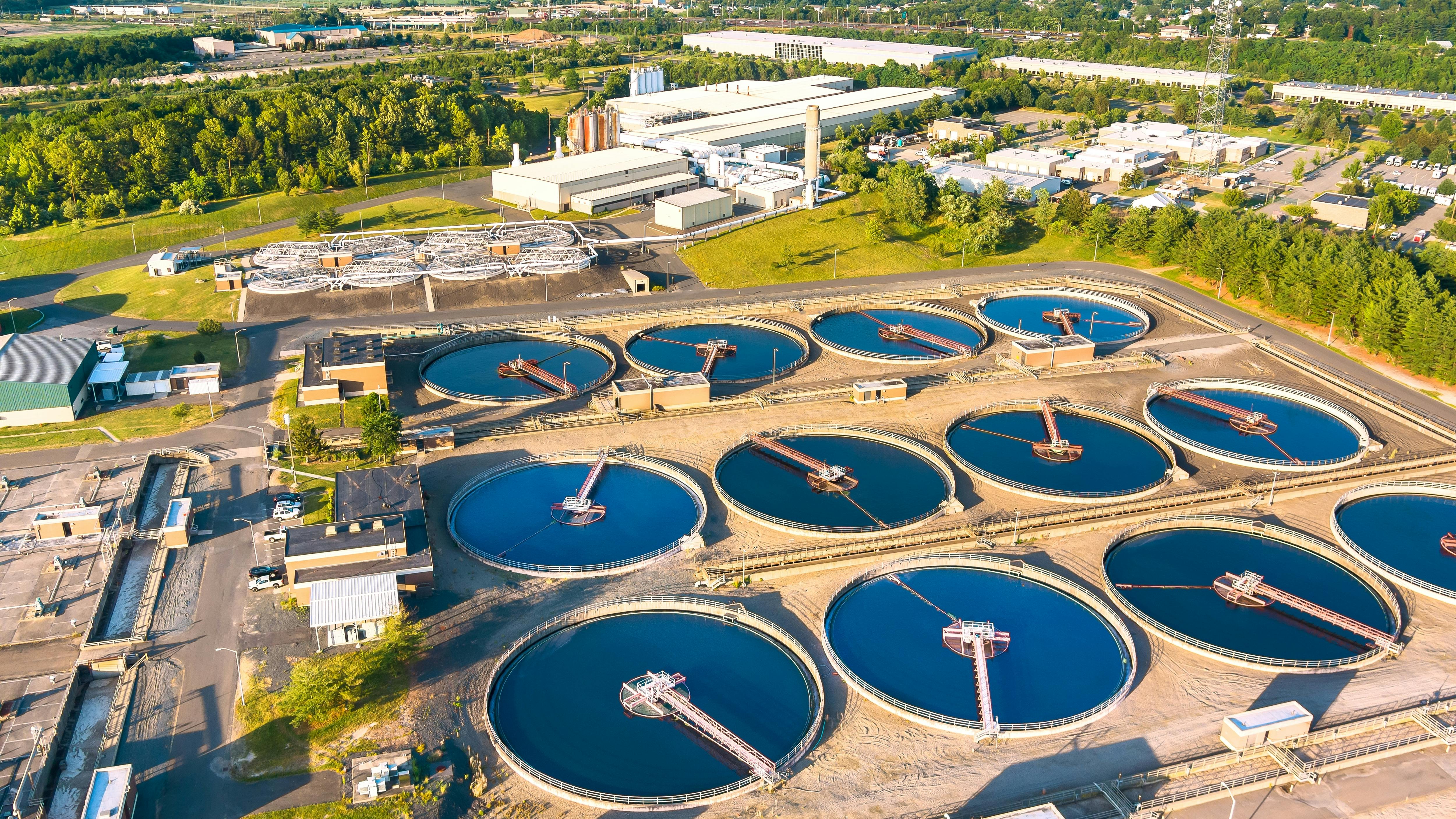 6894e5f1c666966b546f5b55 Shutterstock 2650196475