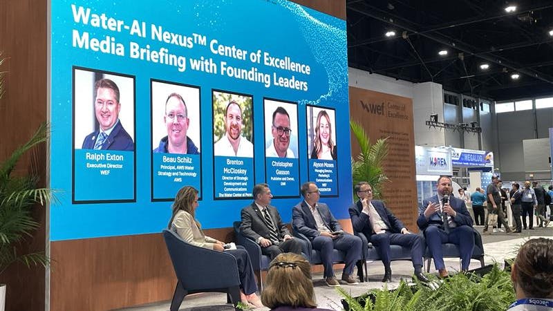 Industry experts discuss the emerging roles of AI in the water landscape.