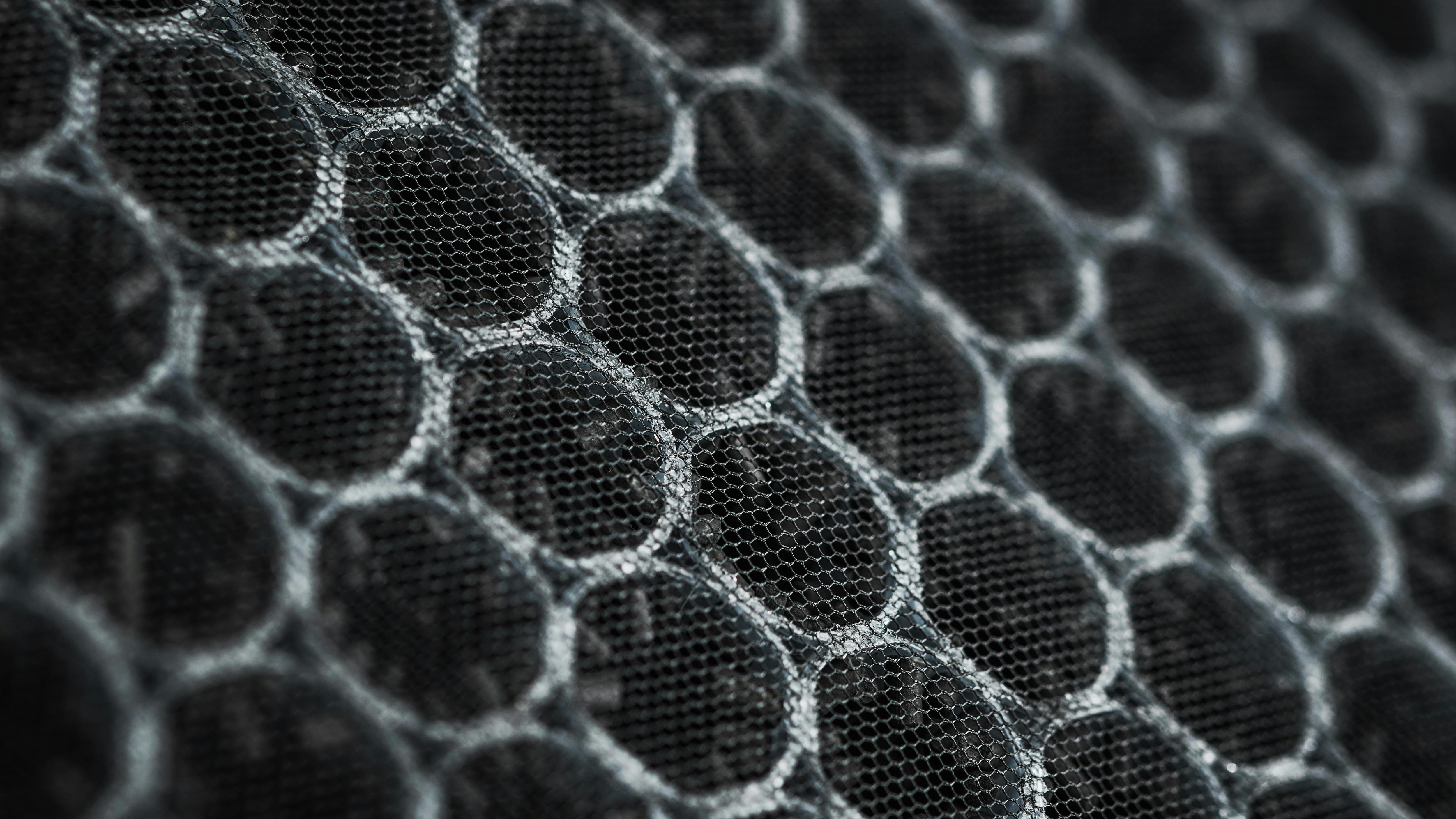 dreamstime_xxl_216817036