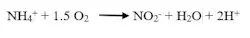 The conversion of ammonium to nitrate The conversion of ammonium to nitrate