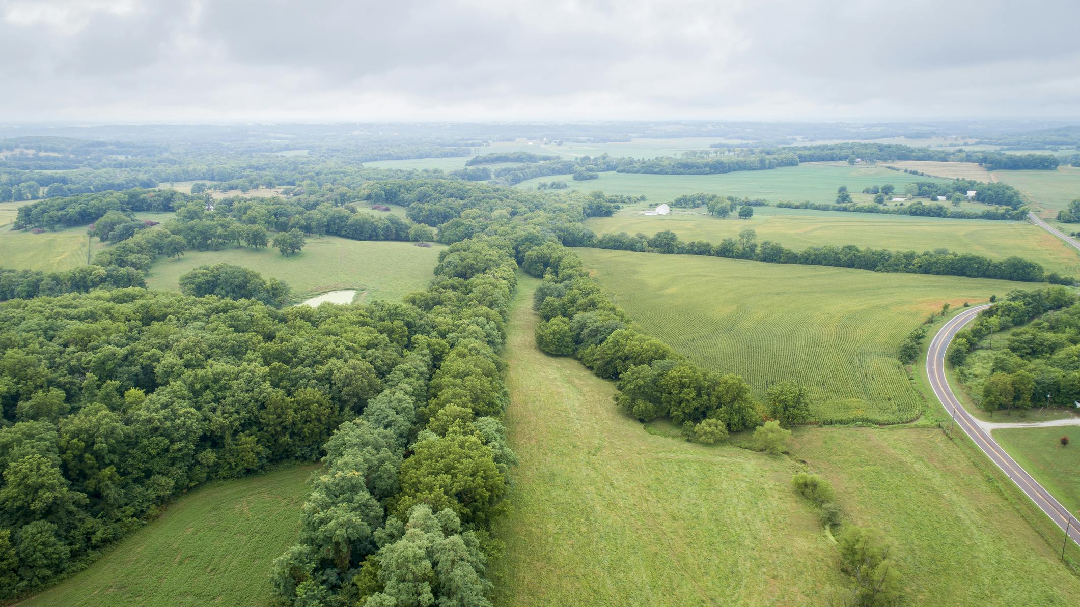 Aerial view of Katy Trail shaded by trees near Pilot Grove, Missouri